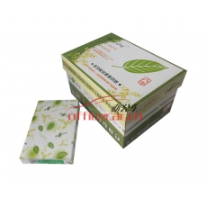 綠葉（GreenLeaf）復印紙 A4/80g 500張/包 10包/箱