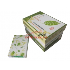 綠葉（GreenLeaf）復印紙 A3/80g 500張/包 5包/箱