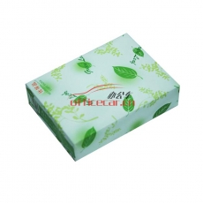 綠葉（GreenLeaf）復印紙 A5/80g 500張/包 20包/箱