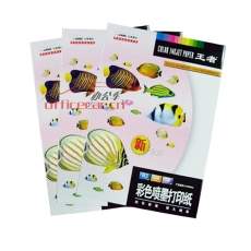 安妮 Anne 王者魚108g彩色噴墨打印紙A3*100張/包