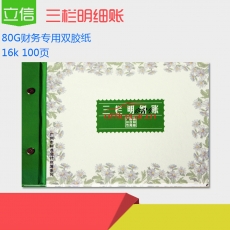 立信 L.X 三欄明細(xì)賬 100頁(yè)