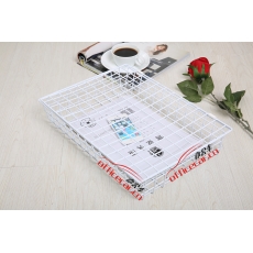 國產 Domestic 鐵網文件藍 A4