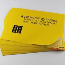 國產 Domestic 不干膠標簽（A4 光面 黃色） 50張/包