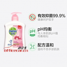 滴露 Dettol 健康抑菌洗手液 500ml/瓶 12瓶/箱 (滋潤倍護)