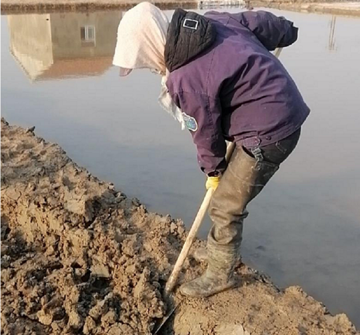 女工2.png 女工2.png